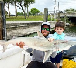 Large blacktip shark caught during fishing cruises at New Smyrna Beach
