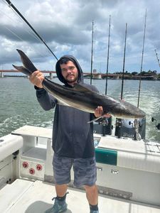 Cobia fish caught on cruises and fishing trip in FL