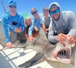 Dusky Smooth-Hound fish caught in New Smyrna Beach