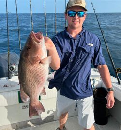 Angler catching a grey snapper fish in FL