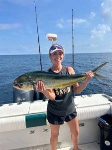 Mahi Mahi fish caught during Florida cruises and fishing