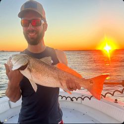 Redfish caught on cruises and fishing trip in FL