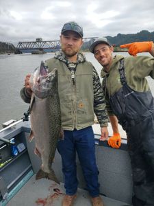 Chinook Salmon hunting in OR
