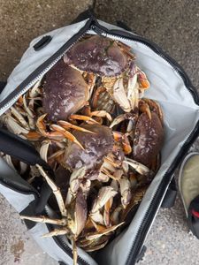 Scenic view of Oregon landscape