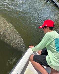 Manatee encounter!