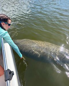 Up close with a manatee! #Manatee
