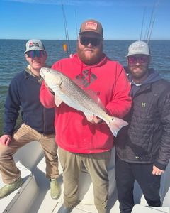 Got redfish!