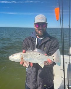 Hooked up in paradise!