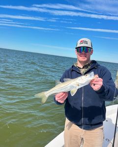 Snook action in the backcountry! 