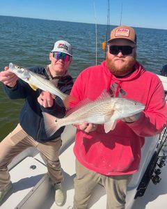 Double hookup—twice the fun!