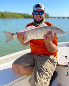 Redfish out of Fort Myers