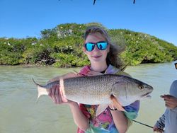 Healthy redfish out of Fort Myers 