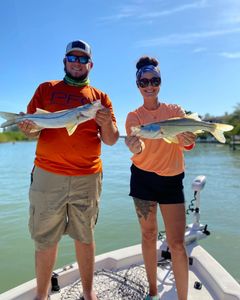 Two snook, 19-inch fish, caught fishing in FL