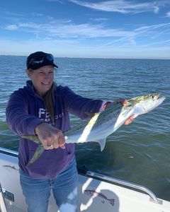 Anglers fishing with rods in Florida