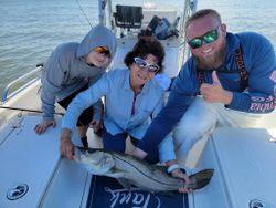 Snook fish caught while fishing in Fort Myers