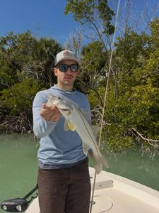 Snook caught while fishing in Fort Myers FL