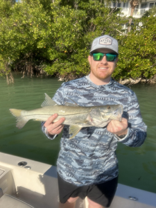 Fort Myers snook success in the mangroves!