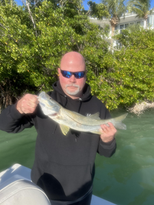 Nice Fort Myers snook caught using heavy tackle techniques!