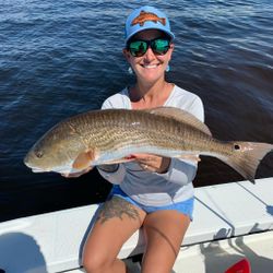Redfish catch in FL