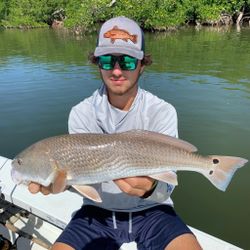 Redfish caught while fishing in FL