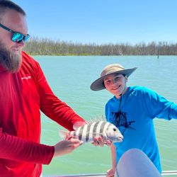 Sheepshead fish caught in FL