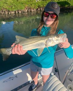 Snook caught while fishing in FL