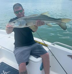 Angler catching a snook fish in FL