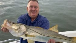 Snook fish caught in FL