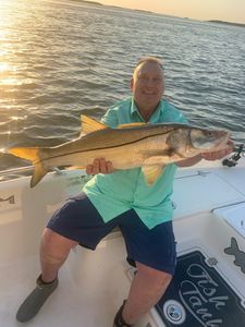 Snook fish caught while fishing in FL