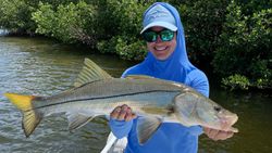 Snook fish caught in FL while fishing