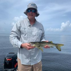 Snook fish caught while fishing in FL