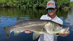 Snook fish caught while fishing in Fort Myers