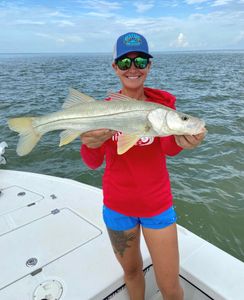 Snook fish caught in FL