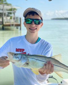 Snook fish caught in Fort Myers