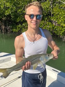 Snook fish caught while fishing in Fort Myers