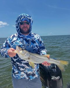 Snook fish caught while fishing in Fort Myers
