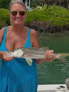 Snook fish caught while fishing in Fort Myers