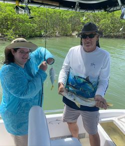 Two snook fish caught while fishing in FL