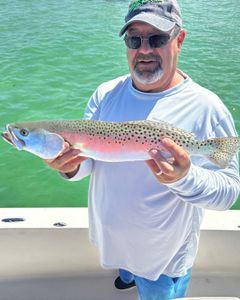Spotted weakfish caught while fishing in Fort Myers