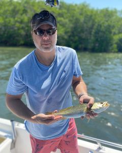 Angler with 13-inch fish caught in FL