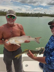 Two redfish caught in FL
