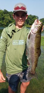 One rainbow trout caught while fishing in Keystone
