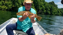A single sea trout caught in AR while fishing