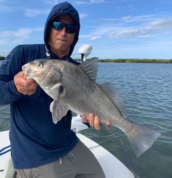 Enjoying the peaceful waters of New Smyrna Beach.
