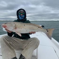Big Red: New Smyrna Beach's Prize Catch
