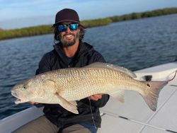 NSB Redfish: Captured Moments of Success