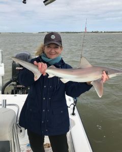 NSB Shark Action: Unforgettable Catches