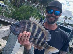 Sheepshead Spectacle: NSB Fishing Charter Success