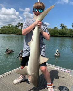 Caught a 23-inch Atlantic Sharpnose Shark while cruising and fishing in FL