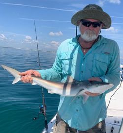 An angler reeling in an Atlantic Sharpnose Shark in Florida